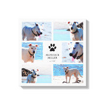 Impressões de pata - Colagem de fotos de cães