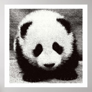 Impressões de Poster Baby Panda Trabalho de arte