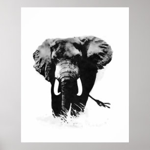 Impressões de Posters Elefantes B&W