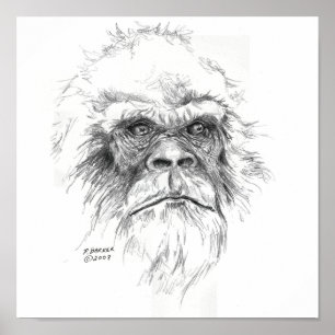 Impressões de Sasquatch