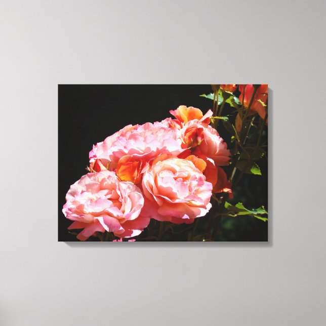 Impressões de tela de flores de rosa Rosas cor-de- (Frente)