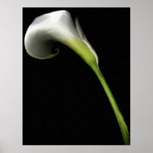 Impressões do lírio de Calla