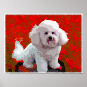 Impressões do pop art de Bichon Frise