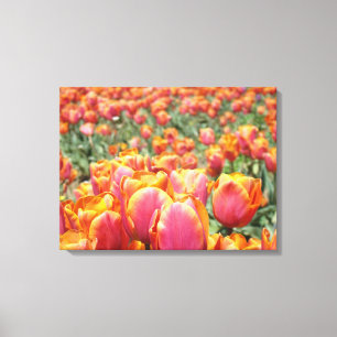 Impressões Florais de Arte Finas Tulipas canvas Fl