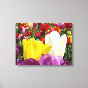 Impressões Florais de Belas Artes Canvas Flores de