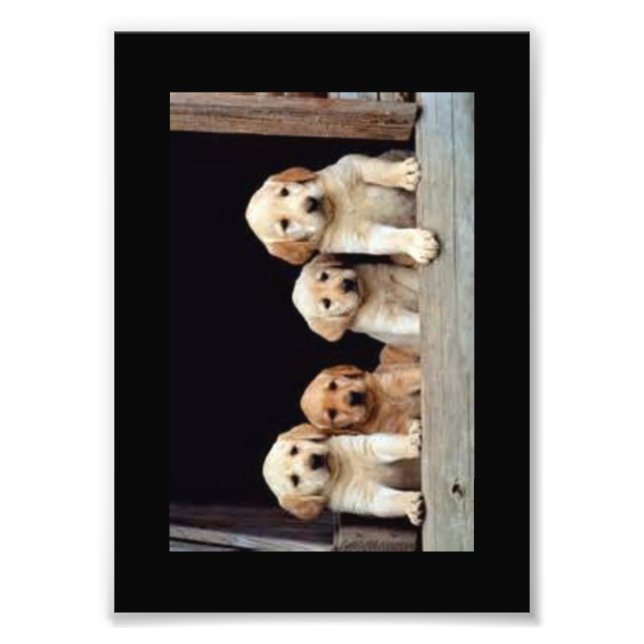 IMPRESSÕES FOTOGRAFIAS PERSONALIZADAS (Frente)