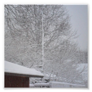 IMPRESSÕES FOTOGRAFIAS PERSONALIZADAS 6 X6