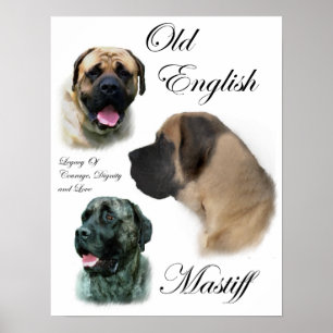 Impressões ingleses da arte do Mastiff
