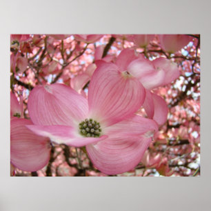 Impressões quadro arte da árvore de Dogwood 1 do