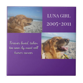 In Memory, Love Remains