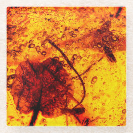 Inclusões ambarinas antigas