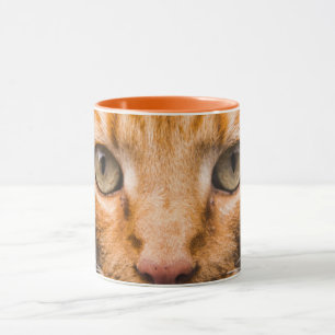Incríveis canecas de gato