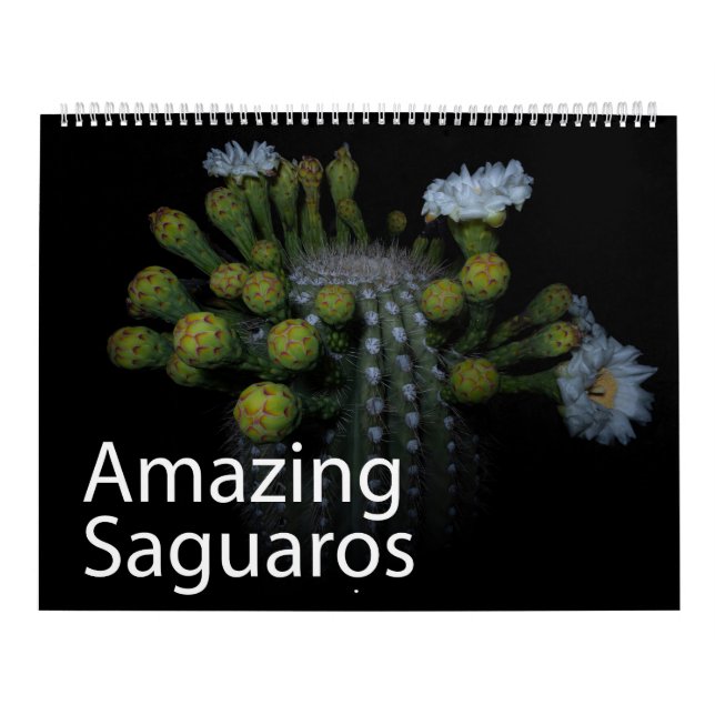 Incrível Calendário do Saguaros (Capa)