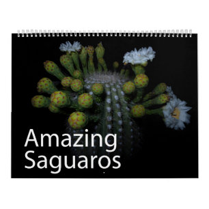 Incrível Calendário do Saguaros