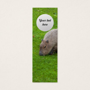 Incrível Capivara Animal