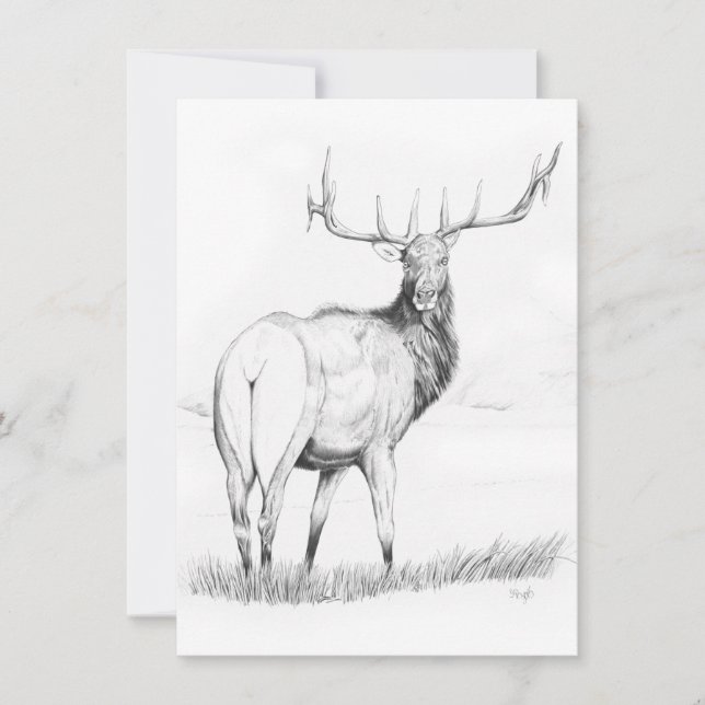 Indecisão - Convite 4,5" x 6,25" (Frente)