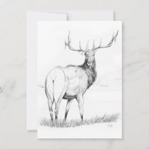 Indecisão - Convite 4,5" x 6,25"