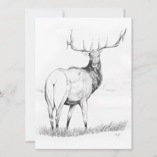 Indecisão - Convite de 5,5" x 7,5" (Frente)