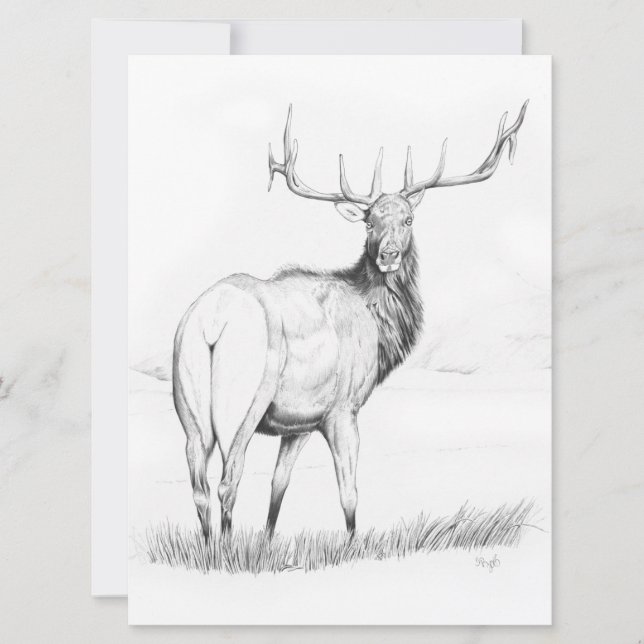 Indecisão - Convite de 6,5" x 8,75" (Frente)