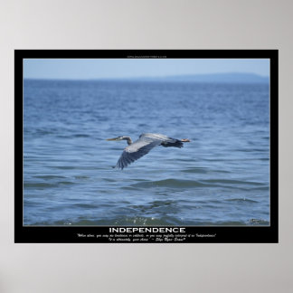 INDEPENDENCE Great Blue Heron Motivational Poster