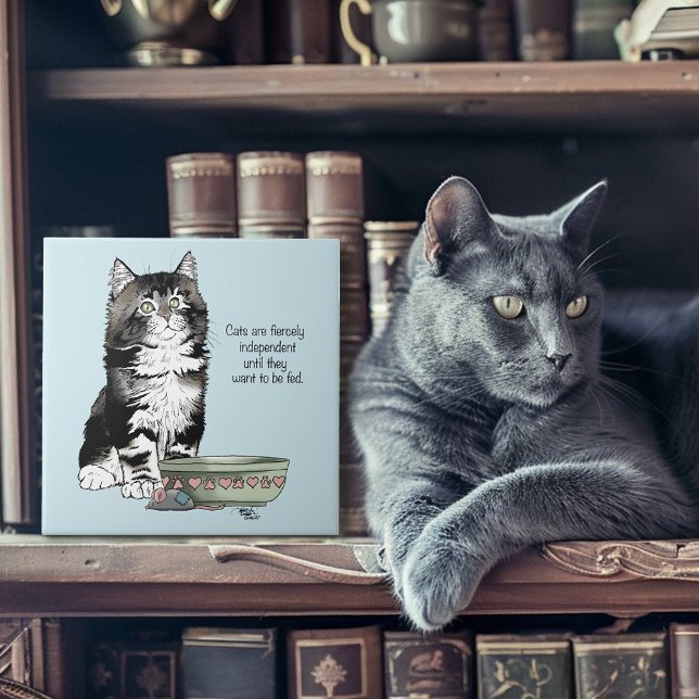 Independente Kitten Bowl Engraçado (Criador carregado)