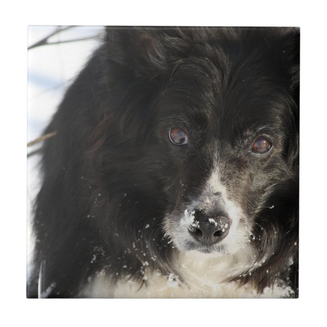 indeterminado (Frente)