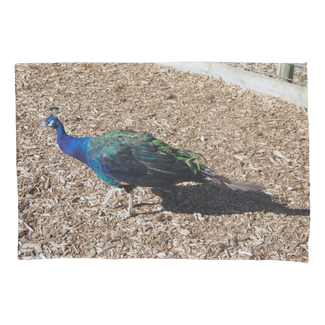 Indian Blue Peafowl pillowcase (Frente)