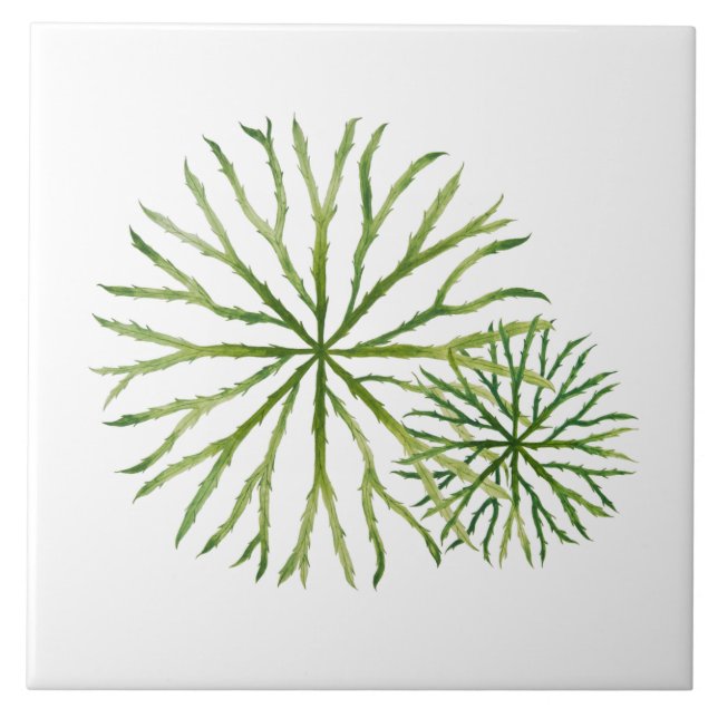 Indian Summer on a Ceramic Tile (W) (Frente)