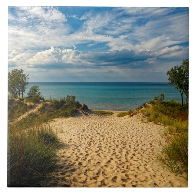 Indiana Dunes, Lago Michigan (Frente)