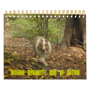 Indiana Dynamite! Calendário do Cão de Ação