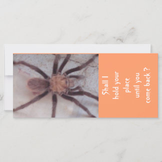 Indicador de Associação Arachnid