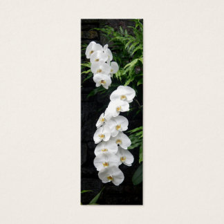 Indicador de Flores Tropicais