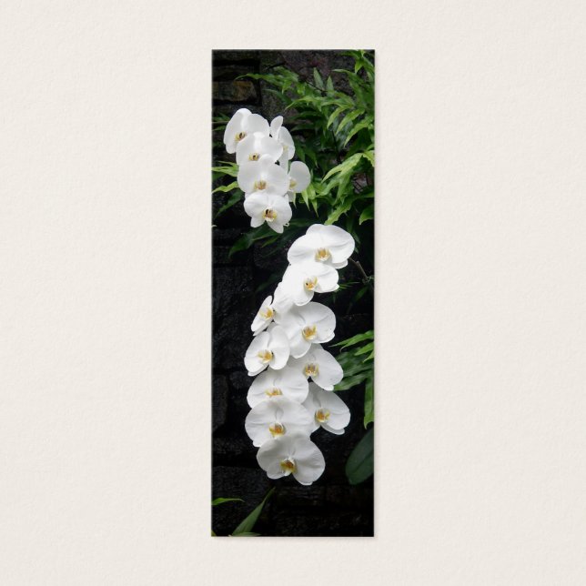 Indicador de Flores Tropicais (Frente)