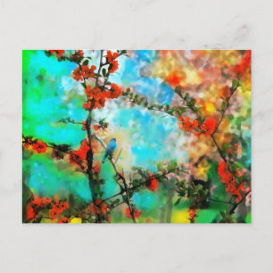 Indigo, cartões postais