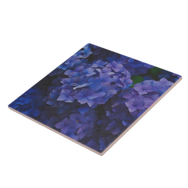 Indigo Hydrangea Dusk Decorative Ceramic Tile (Lateral)