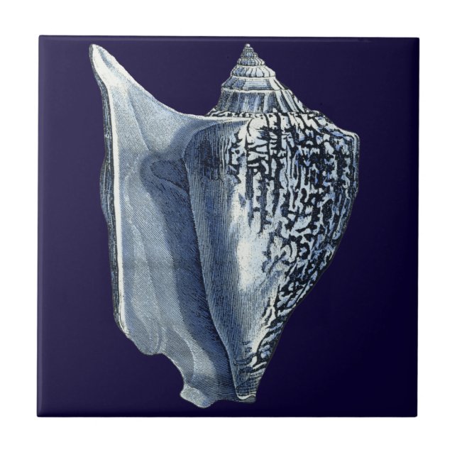 Indigo Shells I (Frente)