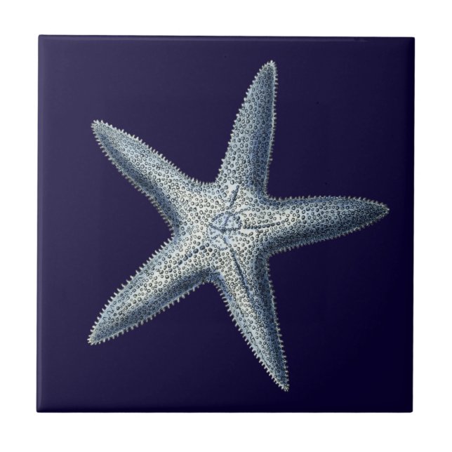 Indigo Shells IV (Frente)