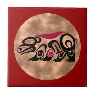 Índio escudo American Native shield