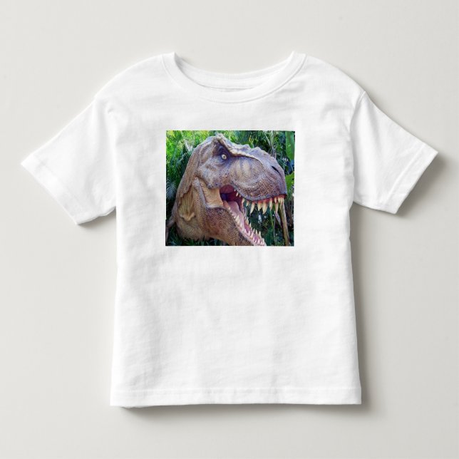 Infantil Camiseta de dinossauro para crianças (Frente)