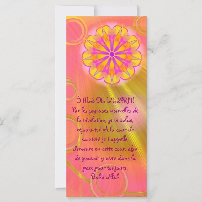 InfiniteLove26 (Frente)