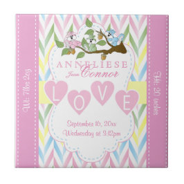 Informação de Nascimento - Esquilos de Bebê Pastel