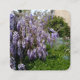 Informações Cartão de Envio Wisteria Violeta Verde