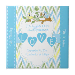 Informações sobre o nascimento - Esquilos de Bebê