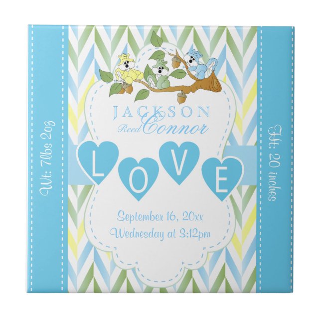 Informações sobre o nascimento - Esquilos de Bebê  (Frente)