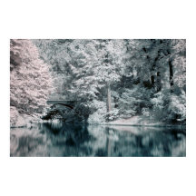 Infrared, Garden, Poster de Paris
