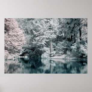 Infrared, Garden, Poster de Paris