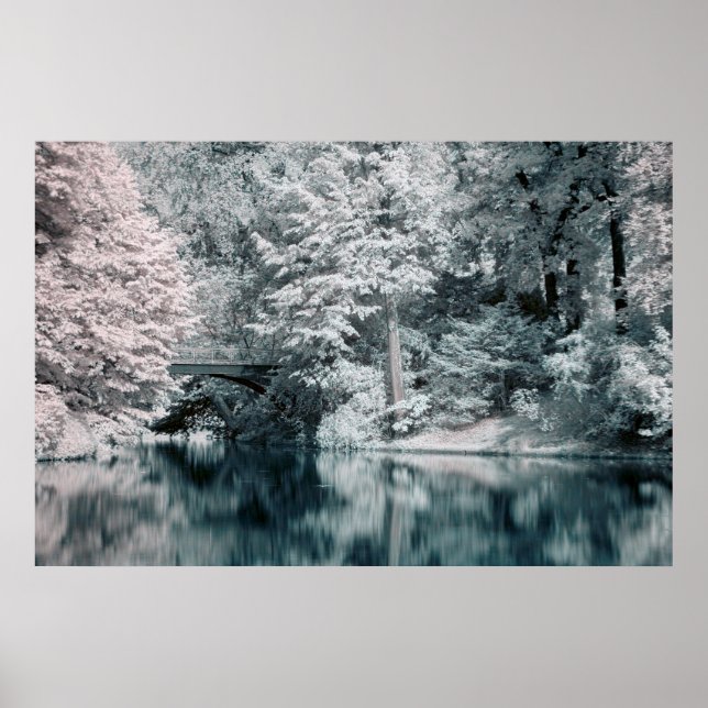 Infrared, Garden, Poster de Paris (Frente)