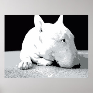 Inglês bull terrier, impressão do pop art