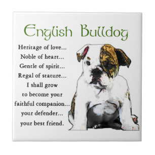 Inglês Bulldog Heritage of Love