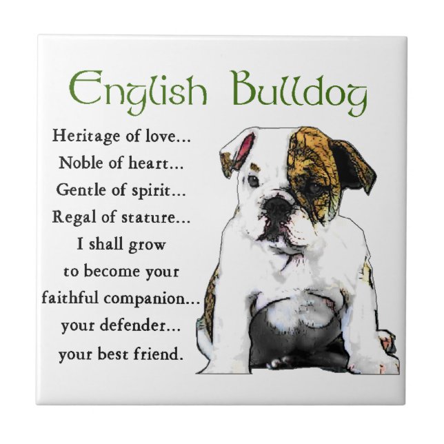 Inglês Bulldog Heritage of Love (Frente)